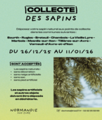 collecte sapins
